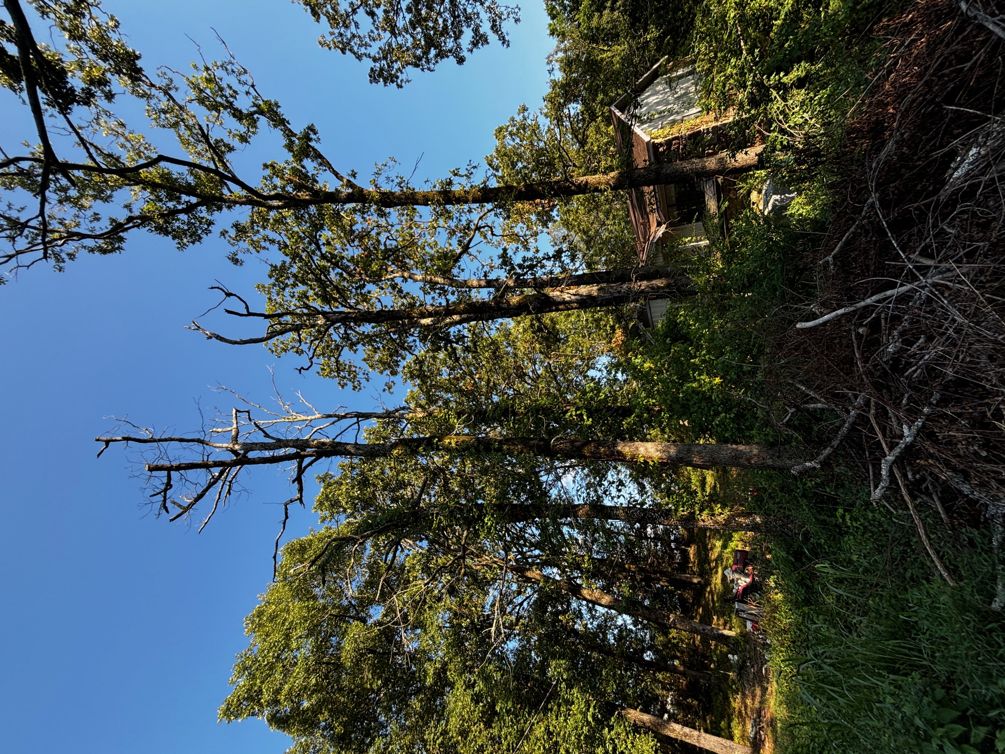 tornado damage to a house